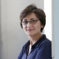 Parvin Rajabi