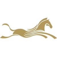 Shenzhen Talent Recruitment International