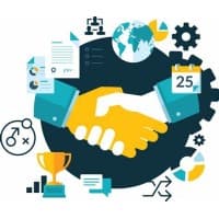 +consultor