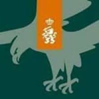 11 Luchtmobiele Brigade (11 Airmobile Brigade)