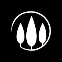 3 Trees Care & Support Ltd @3tcsltd