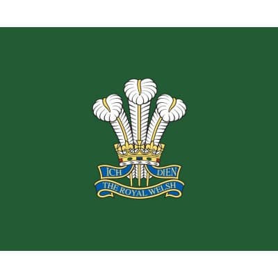 The Royal Welsh Reserves