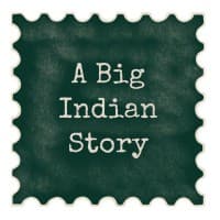 A Big Indian Story