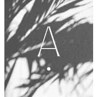 A. Lynne Photography
