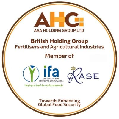 AAA Holding Group