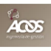 ACOS, Ingeniería de Gestión
