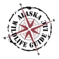 Alaska-Wildlife-Guide LLC