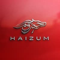 Alfaisal Haizum Formula Student Racing Team