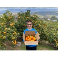 All American Citrus Foundation