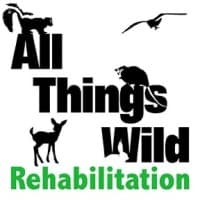 ALL THINGS WILD REHABILITATION INC