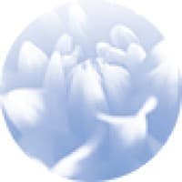 All Women's Care