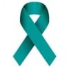 Alzheimer's Foundation of America