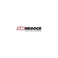 AM NEGOCE