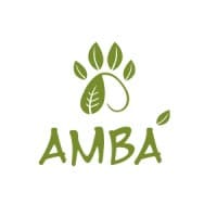 AMBA