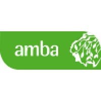 Amba Research