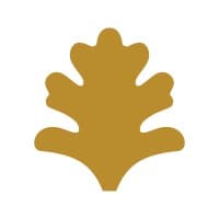 American Ancestors