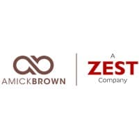 Amick Brown - SAP, Cloud Technologies and Business Intelligence Consulting