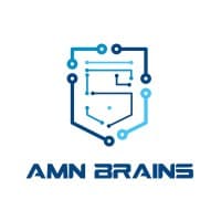 Amn Brains