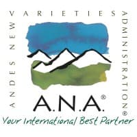 ANA Chile®