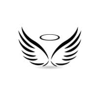 Angel Investor