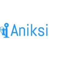 Aniksi Player Experience