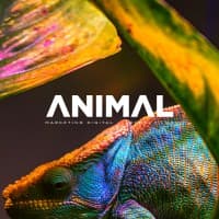 Animal Marketing Digital