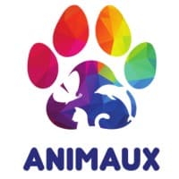 Animaux by Mithibai