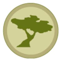 Ann Arbor Lofting Co.