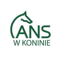Akademia Nauk Stosowanych w Koninie