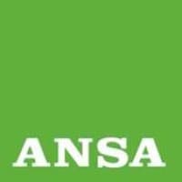 ansa