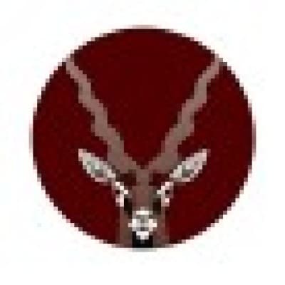 Antelopus Selan Energy Limited