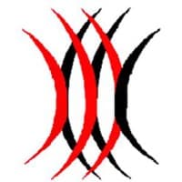 Arabian Services Group