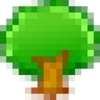 Arbor Plus