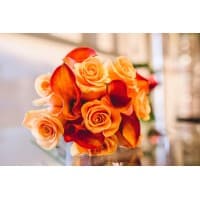 Arum Lily Flower Shop Edmonton | Florist