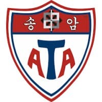 ATA American Taekwondo Association