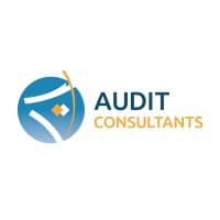 AUDIT CONSULTANTS