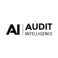 Audit Intelligence
