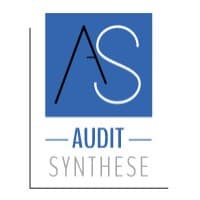 AUDIT SYNTHESE