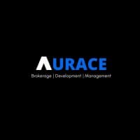 Aurace Nigeria Ltd.
