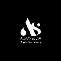 AURIC SOLUTIONS