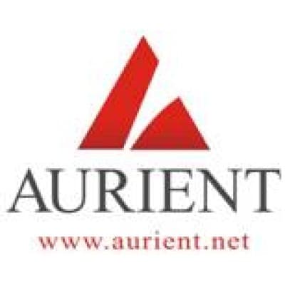 AURIENT MANAGEMENT LIMITED