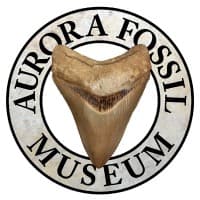 Aurora Fossil Museum