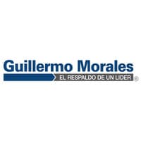 Automotriz Guillermo Morales Ltda.