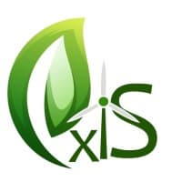 Axis group
