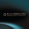 B.I.G Consulting