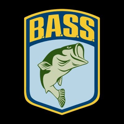 b.a.s.s., llc