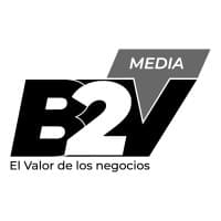 B2V Business to Value