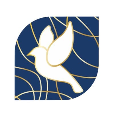 baaya design