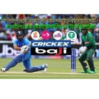 Sport Betting