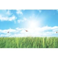 baker commercial landscaping